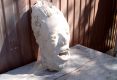 DSC00049.jpg